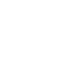 spiders image Spider icon