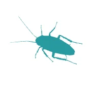 Cockroaches