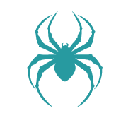spider-teal image Spider icon
